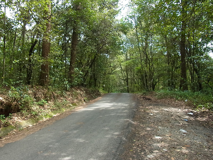 村の道路