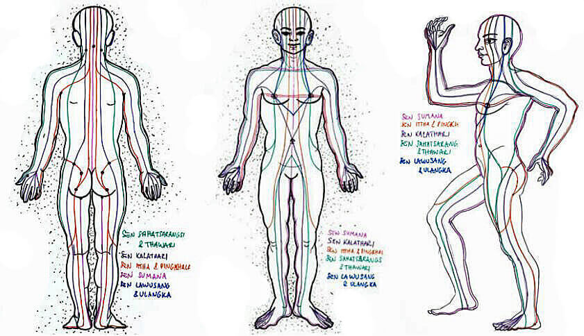 タイ伝統医学における「セン（Sen）」の全体図
